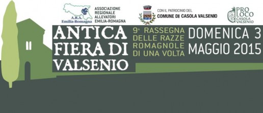 antica-fiera-banner