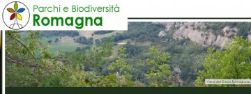 banner-biodiversita