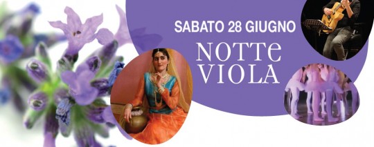banner-notte-viola