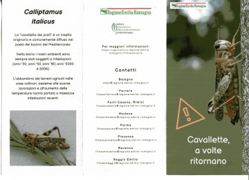 cavallette