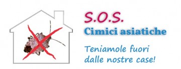 cimici-titolo