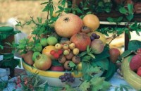 composizione-frutti
