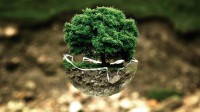 ecobonus