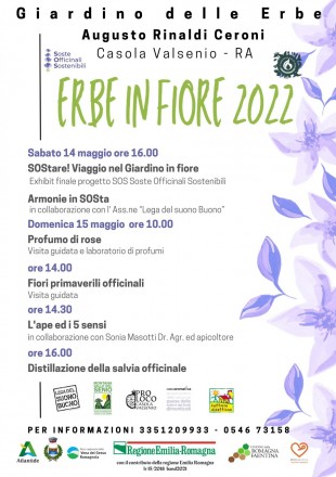 ERBE-IN-FIORE