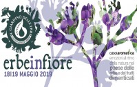 erbe2019