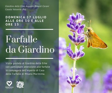 Farfalle-da-Giardino