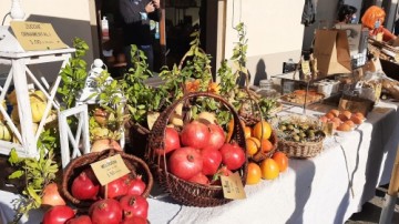 festa_Frutti_dim