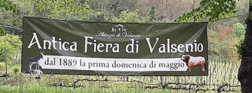 Fiera-di-Valsenio