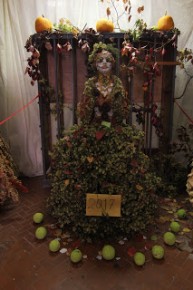FRUT6