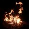 fuoco