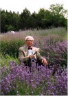 Giardino-erbe-Augusto