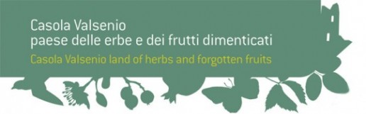 giardino-logo