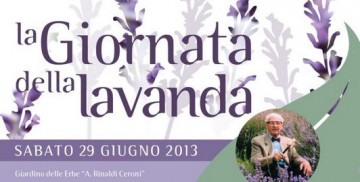 giornata_lavanda