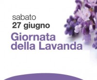 giornata_lavanda