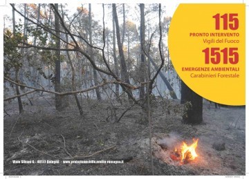 incendi-boschivi_large
