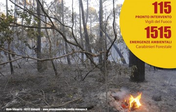 Incendi-boschivi_max_res