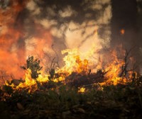 INCENDI