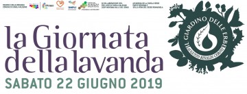 lavanda2019
