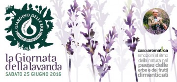 lavanda_media