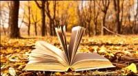libri-biblioteca-frutti