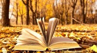 libro_dimenticato
