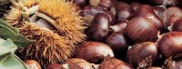marroni_macro