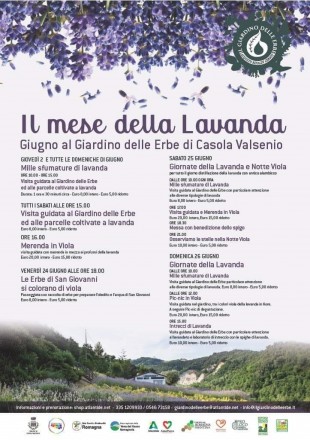 Mese-della-Lavanda-al-Giardino-delle-Erbe