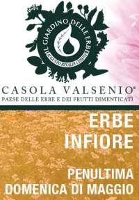 mini-erbe-in-fiore