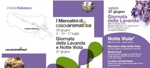 NotteViola2015Banner