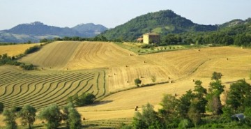 Panorama-1