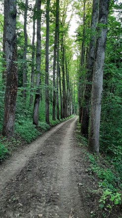 Parco-del-Cardello