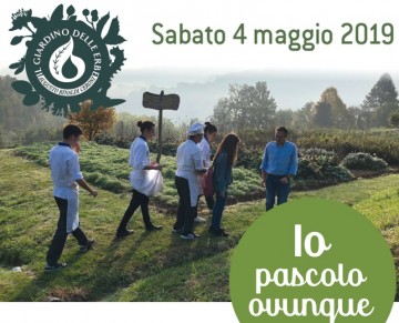 pascolo
