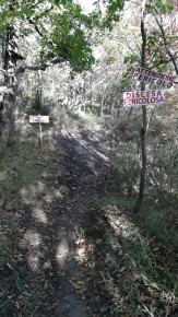 percorso