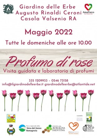 Profumo-di-rose_01