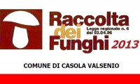 raccolta-funghi