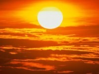 sole