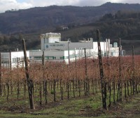 stabilimento-vetriceramici
