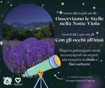 stelle