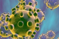 virus