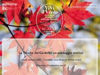 ViviilVerde