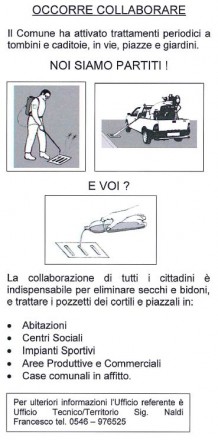 zanzare
